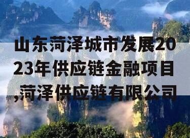 山东菏泽城市发展2023年供应链金融项目,菏泽供应链有限公司