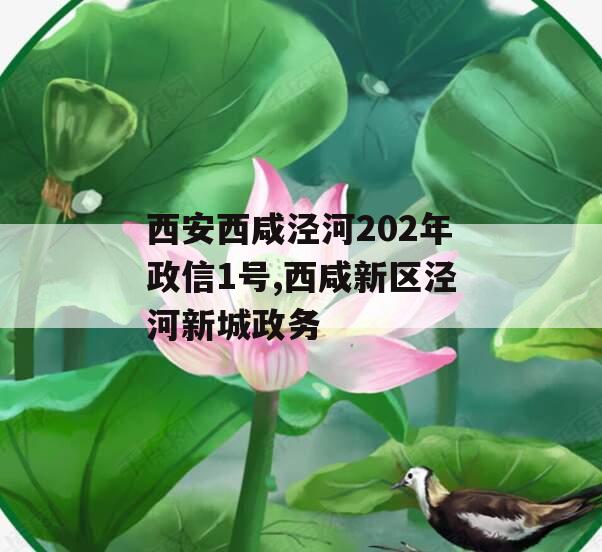 西安西咸泾河202年政信1号,西咸新区泾河新城政务