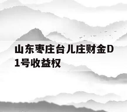 山东枣庄台儿庄财金D1号收益权