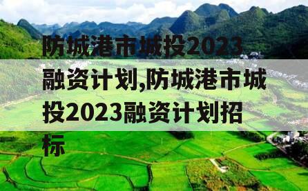 防城港市城投2023融资计划,防城港市城投2023融资计划招标