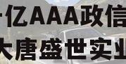 陕国投信托-大唐盛世2号千亿AAA政信,陕西大唐盛世实业有限公司