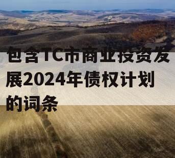 包含TC市商业投资发展2024年债权计划的词条