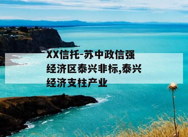 XX信托-苏中政信强经济区泰兴非标,泰兴经济支柱产业