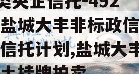 A类央企信托-492号盐城大丰非标政信集合信托计划,盐城大丰国土挂牌拍卖