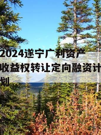 2024遂宁广利资产收益权转让定向融资计划