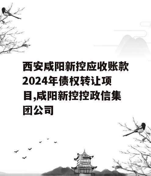 西安咸阳新控应收账款2024年债权转让项目,咸阳新控控政信集团公司