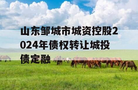 山东邹城市城资控股2024年债权转让城投债定融