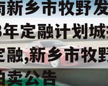 河南新乡市牧野发展2023年定融计划城投债定融,新乡市牧野法院拍卖公告