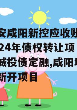 西安咸阳新控应收账款2024年债权转让项目城投债定融,咸阳城投新开项目