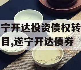 遂宁开达投资债权转让项目,遂宁开达债券