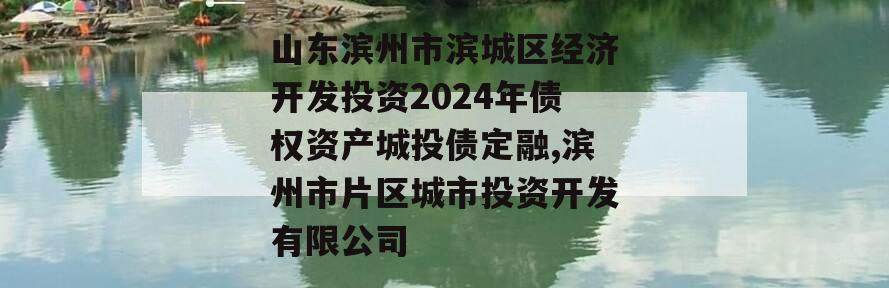 山东滨州市滨城区经济开发投资2024年债权资产城投债定融,滨州市片区城市投资开发有限公司