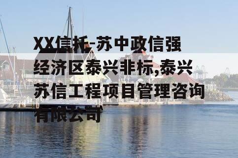 XX信托-苏中政信强经济区泰兴非标,泰兴苏信工程项目管理咨询有限公司