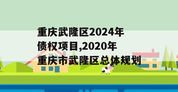 重庆武隆区2024年债权项目,2020年重庆市武隆区总体规划