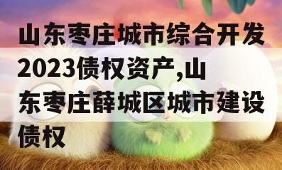 山东枣庄城市综合开发2023债权资产,山东枣庄薛城区城市建设债权