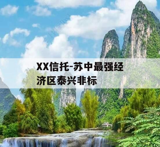 XX信托-苏中最强经济区泰兴非标