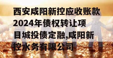 西安咸阳新控应收账款2024年债权转让项目城投债定融,咸阳新控水务有限公司