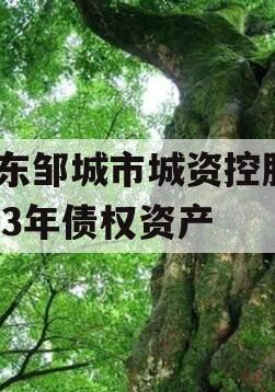 山东邹城市城资控股2023年债权资产