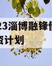 2023淄博融锋债权融资计划