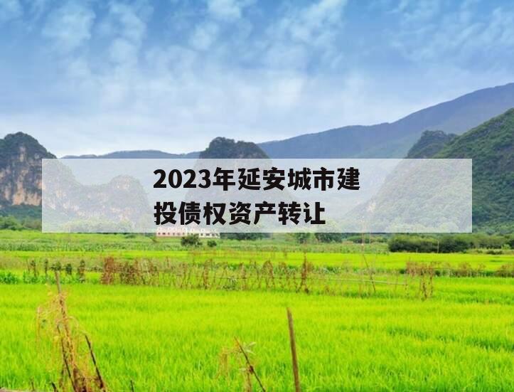 2023年延安城市建投债权资产转让