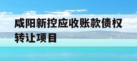 咸阳新控应收账款债权转让项目