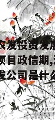 汝阳农发投资发展债权融资项目政信期,汝州市农发公司是什么机构