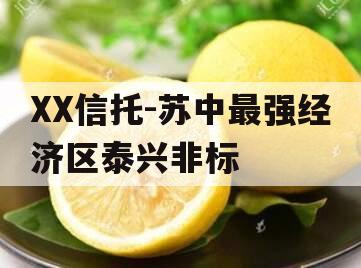 XX信托-苏中最强经济区泰兴非标