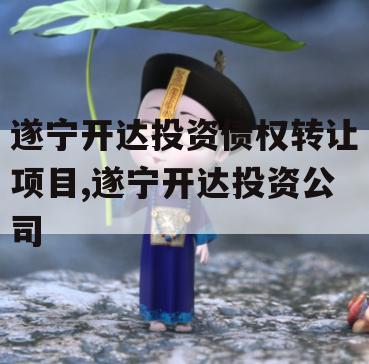 遂宁开达投资债权转让项目,遂宁开达投资公司