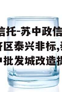 XX信托-苏中政信强经济区泰兴非标,泰兴苏中批发城改造提升