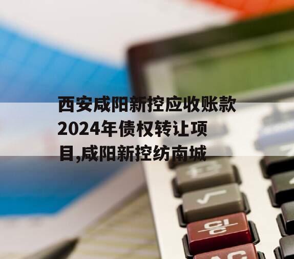 西安咸阳新控应收账款2024年债权转让项目,咸阳新控纺南城