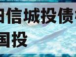 山东阳信城投债权项目,阳信国投