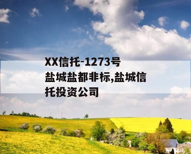 XX信托-1273号盐城盐都非标,盐城信托投资公司