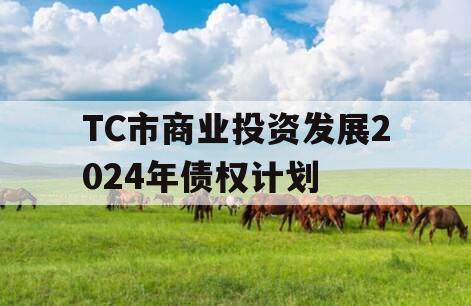 TC市商业投资发展2024年债权计划