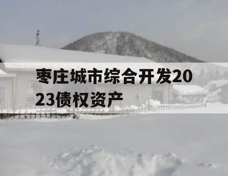 枣庄城市综合开发2023债权资产