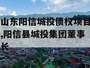 山东阳信城投债权项目,阳信县城投集团董事长