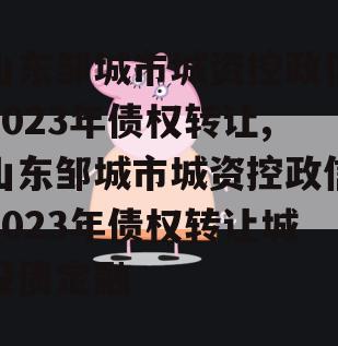 山东邹城市城资控政信2023年债权转让,山东邹城市城资控政信2023年债权转让城投债定融