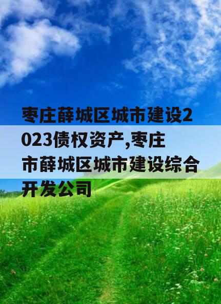 枣庄薛城区城市建设2023债权资产,枣庄市薛城区城市建设综合开发公司