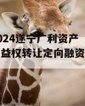 2024遂宁广利资产收益权转让定向融资计划