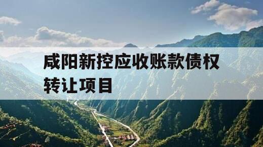 咸阳新控应收账款债权转让项目