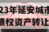 2023年延安城市建投债权资产转让