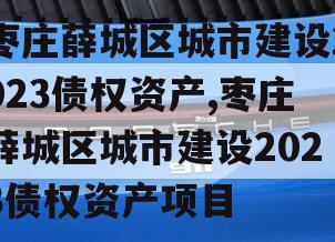 枣庄薛城区城市建设2023债权资产,枣庄薛城区城市建设2023债权资产项目