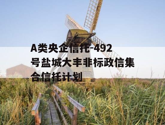 A类央企信托-492号盐城大丰非标政信集合信托计划