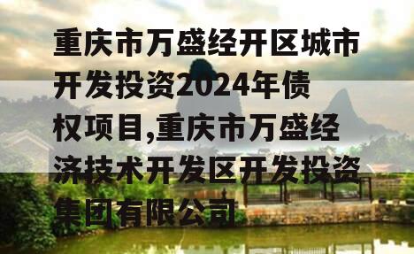 重庆市万盛经开区城市开发投资2024年债权项目,重庆市万盛经济技术开发区开发投资集团有限公司