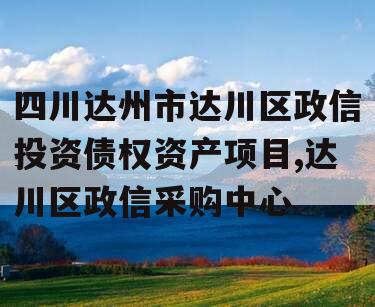 四川达州市达川区政信投资债权资产项目,达川区政信采购中心