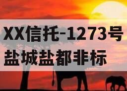 XX信托-1273号盐城盐都非标