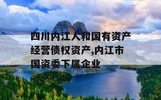 四川内江人和国有资产经营债权资产,内江市国资委下属企业
