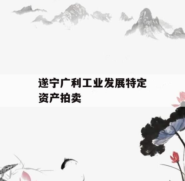 遂宁广利工业发展特定资产拍卖