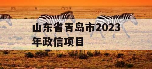 山东省青岛市2023年政信项目