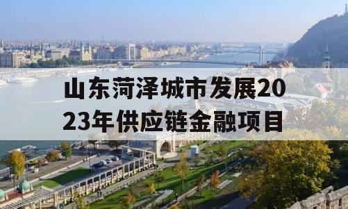 山东菏泽城市发展2023年供应链金融项目