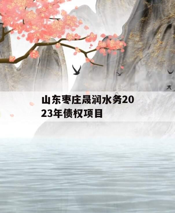 山东枣庄晟润水务2023年债权项目