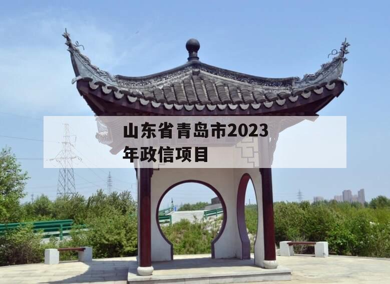 山东省青岛市2023年政信项目